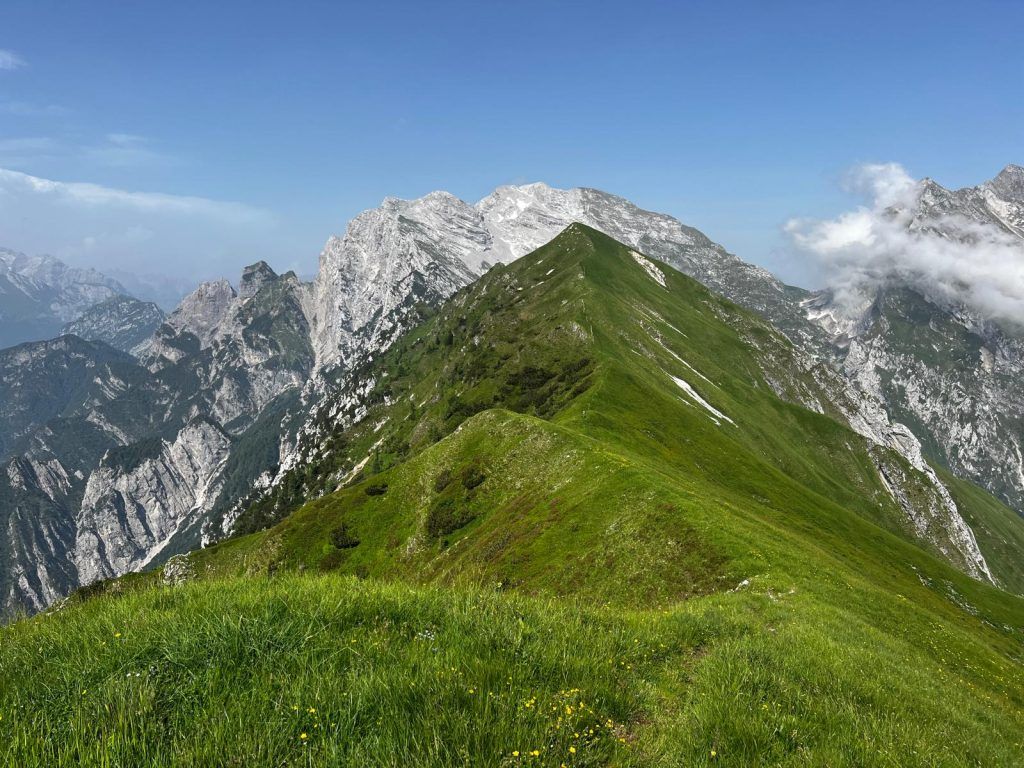 Le praterie del Col Mat nell\u2019anfiteatro dell\u2019Alpago