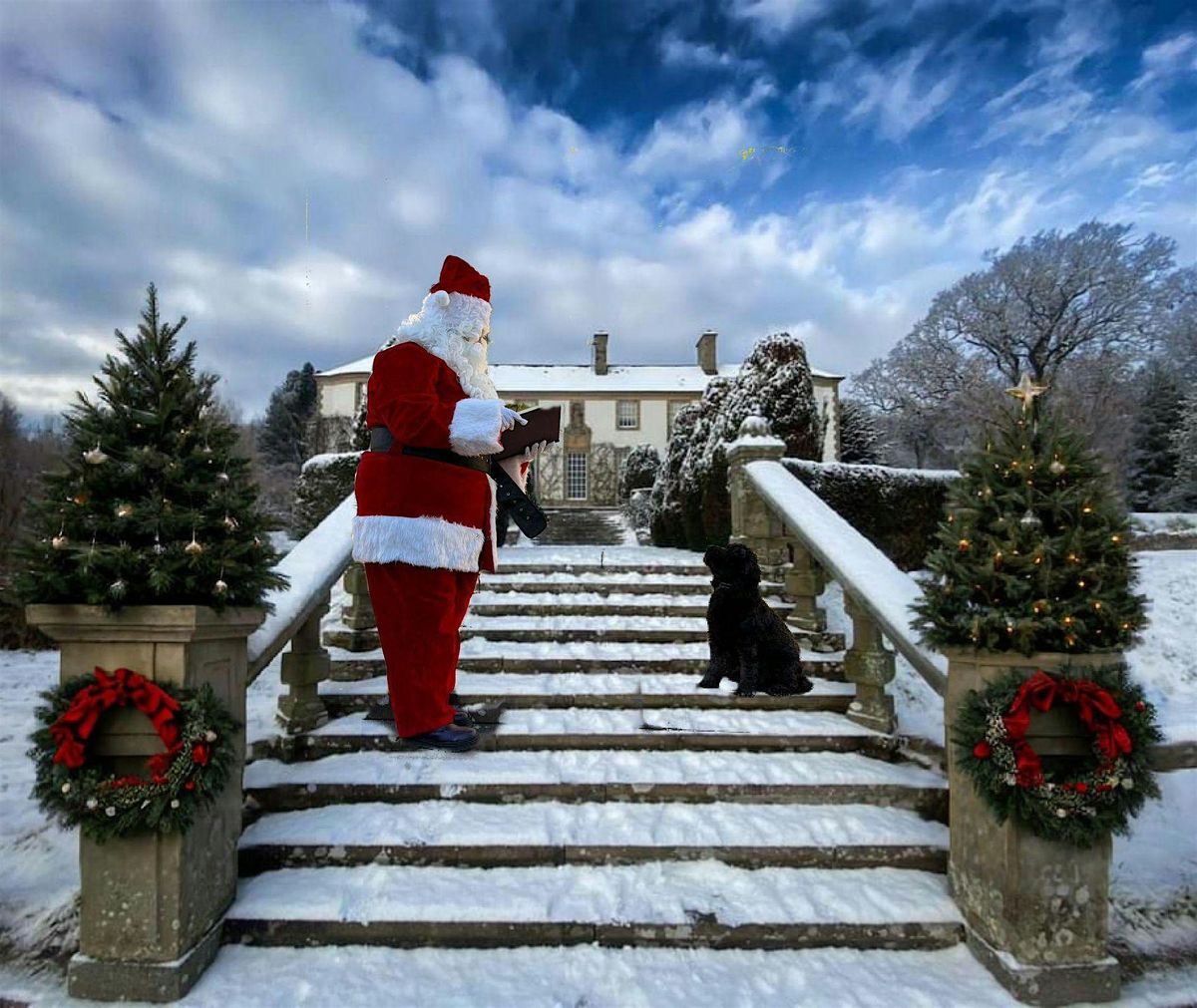 Paws & Presents with Santa at Tarvit