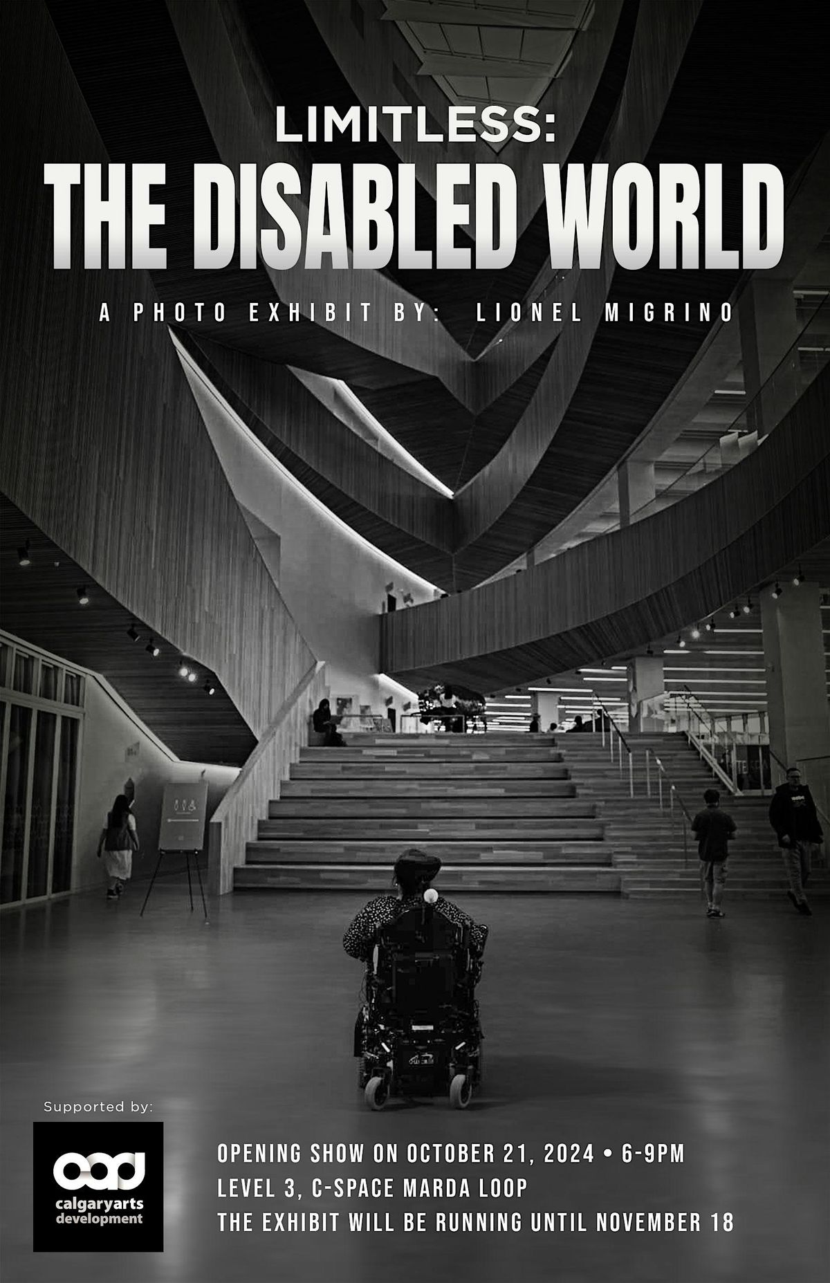 LIMITLESS: THE DISABLED WORLD