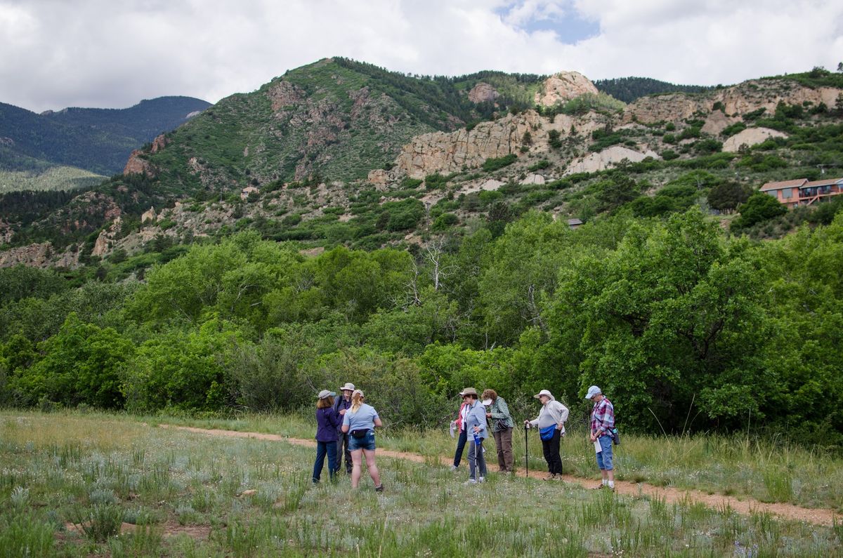 Active Adults: Ute Knowledge and Plants of the Foothills