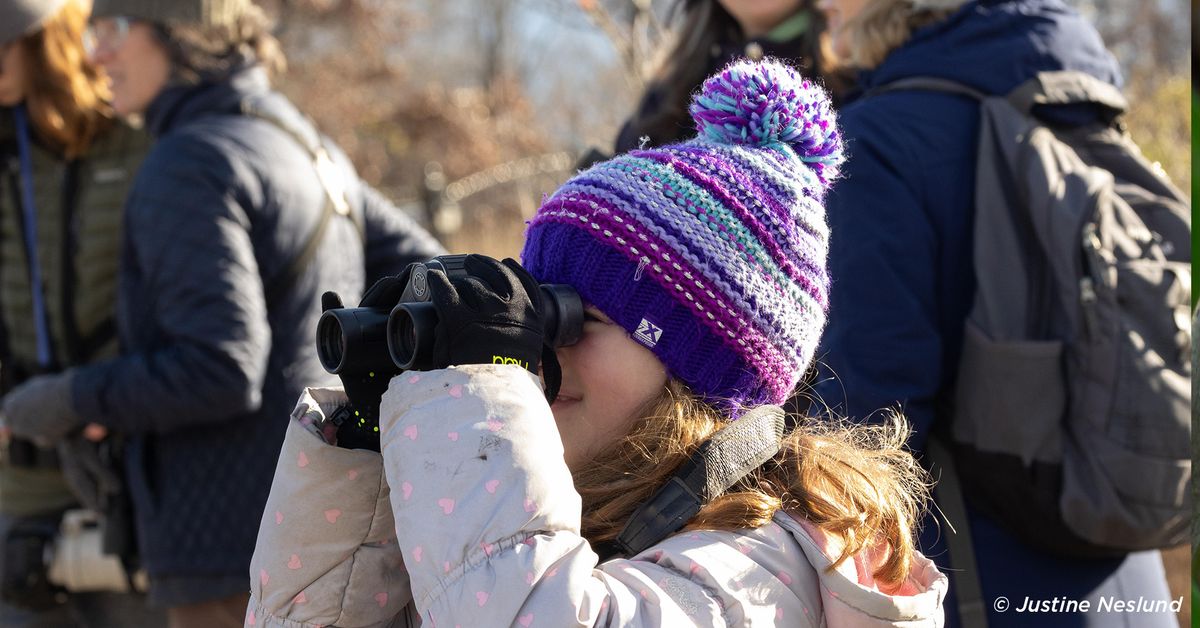 Birdwatching Hotspots: Independence Grove