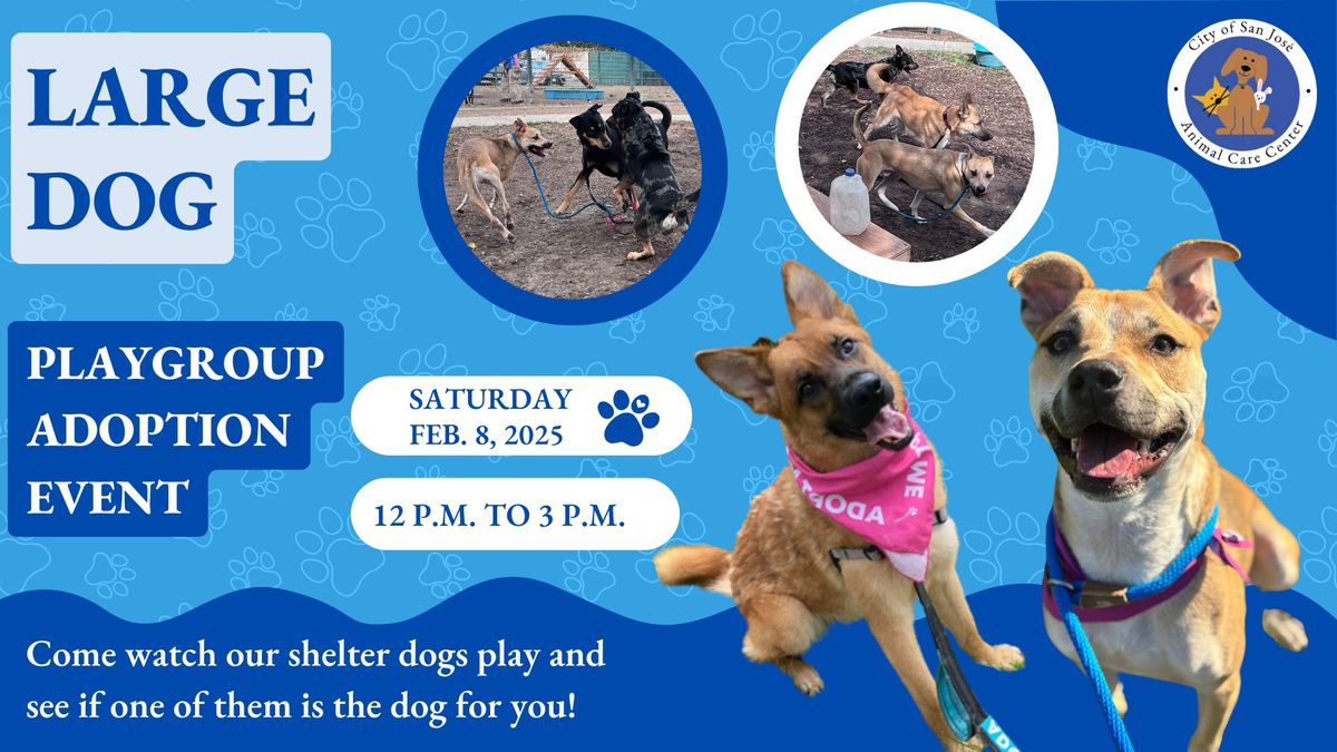 Large Dog Playgroup Adoption Event