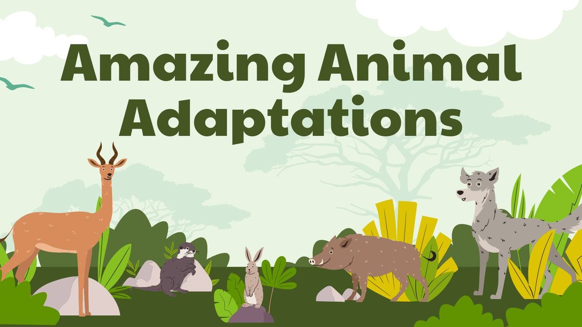 Amazing Animal Adaptations