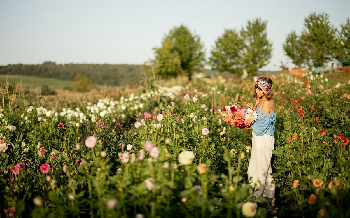 Bloomtreat - Blossom & Breathe - Finding Serenity in Flowers