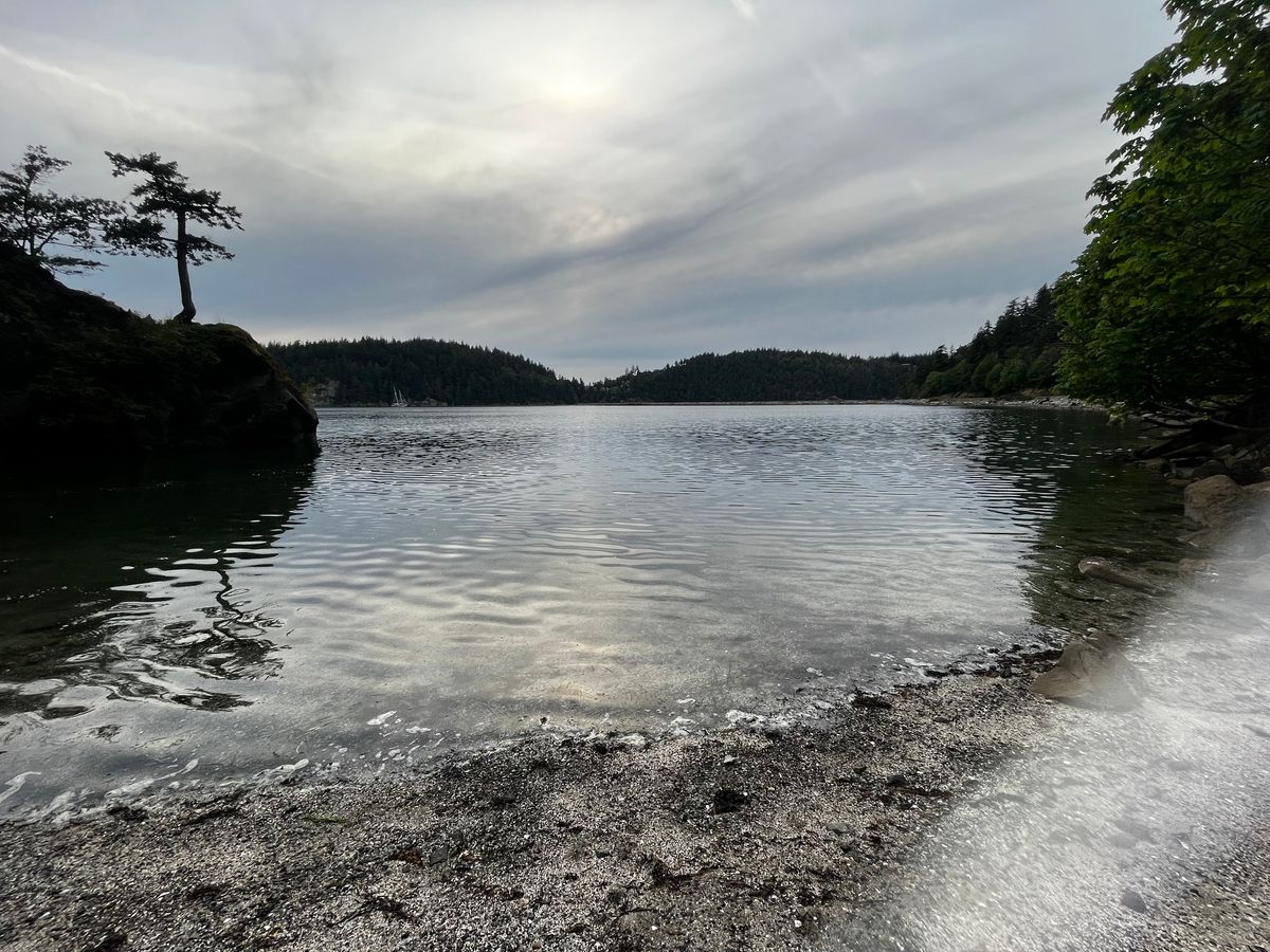 Planting and Trail Maintenance at Teddy Bear Cove with Whatcom County Parks