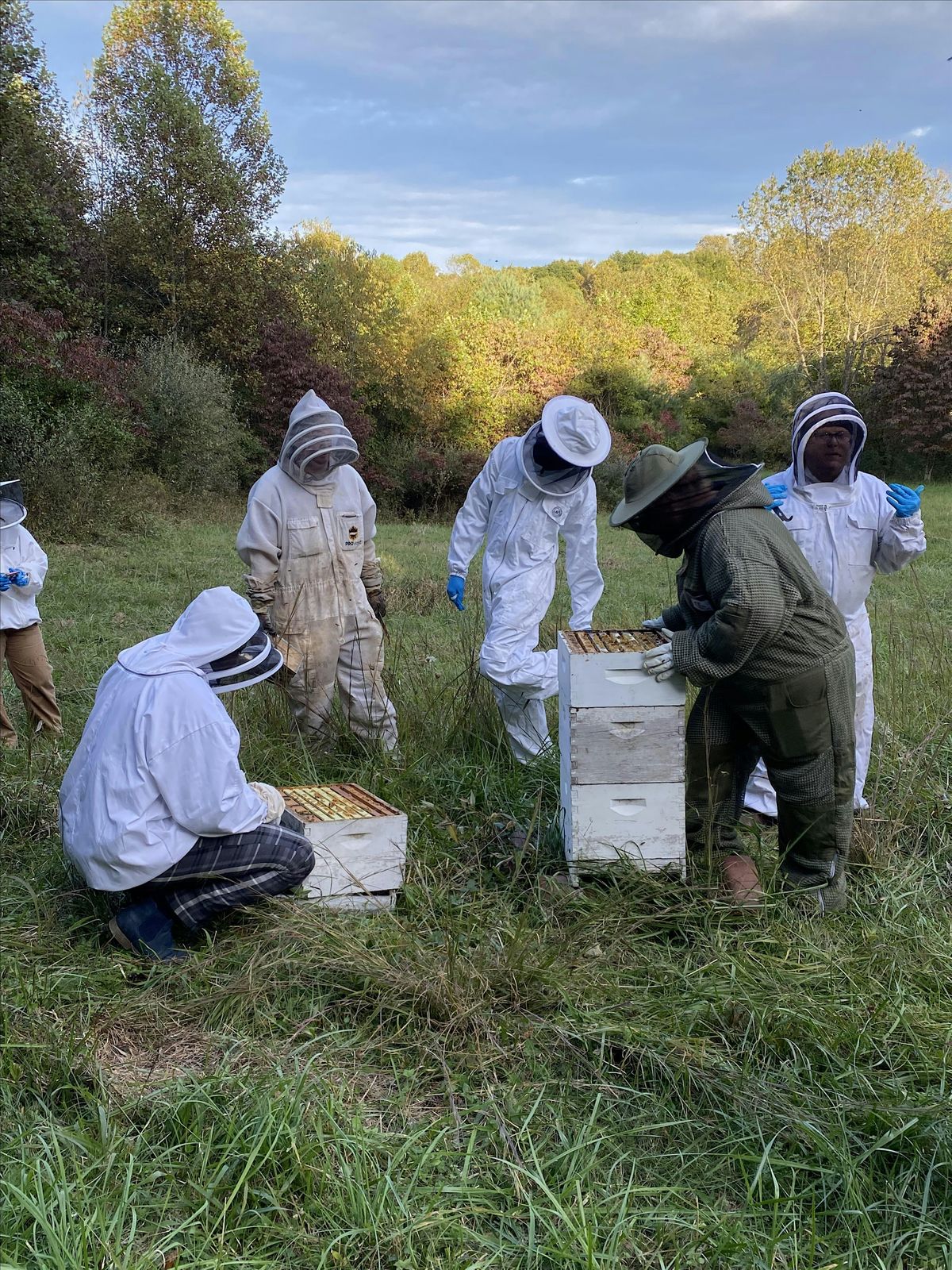 Beekeeping Series: Getting Ready for Winter