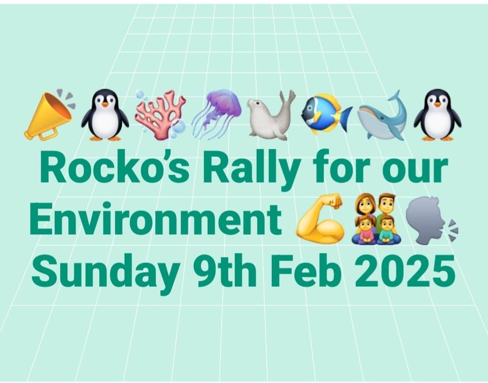 Rocko's Rally for our Environment 