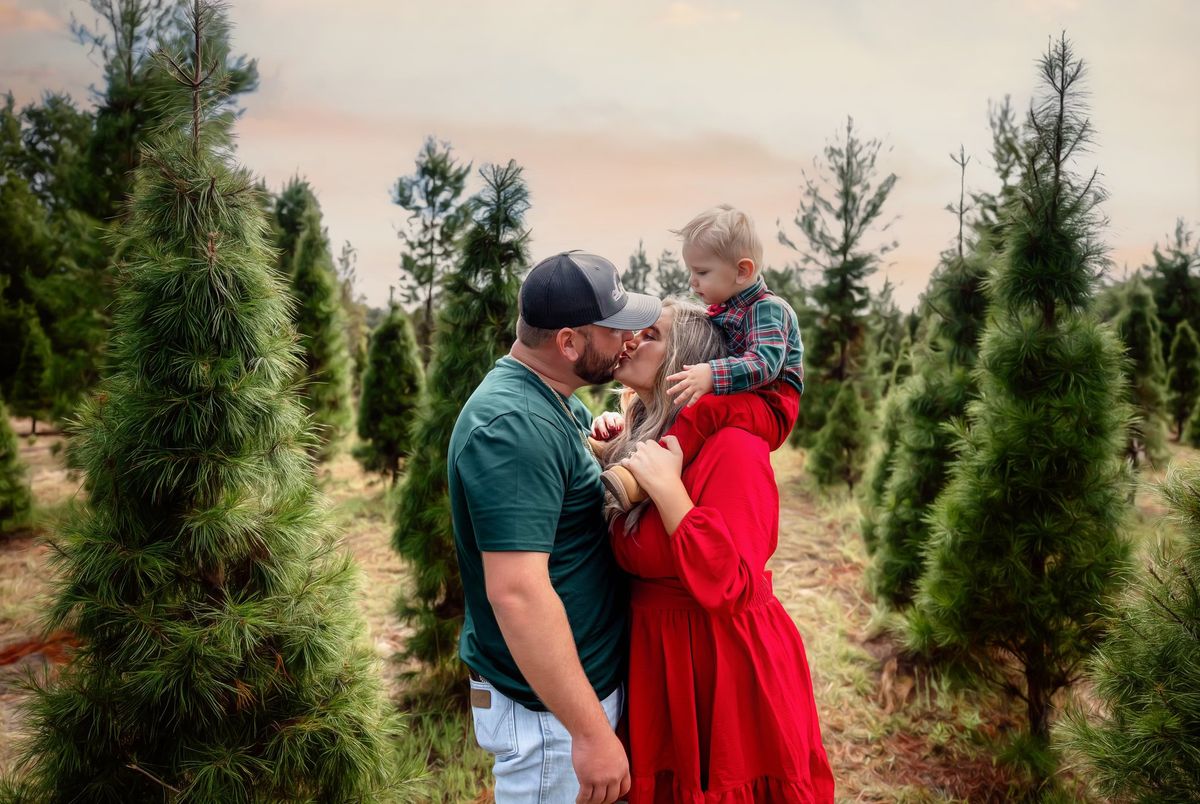 Santa's Tree Farm Mini Sessions