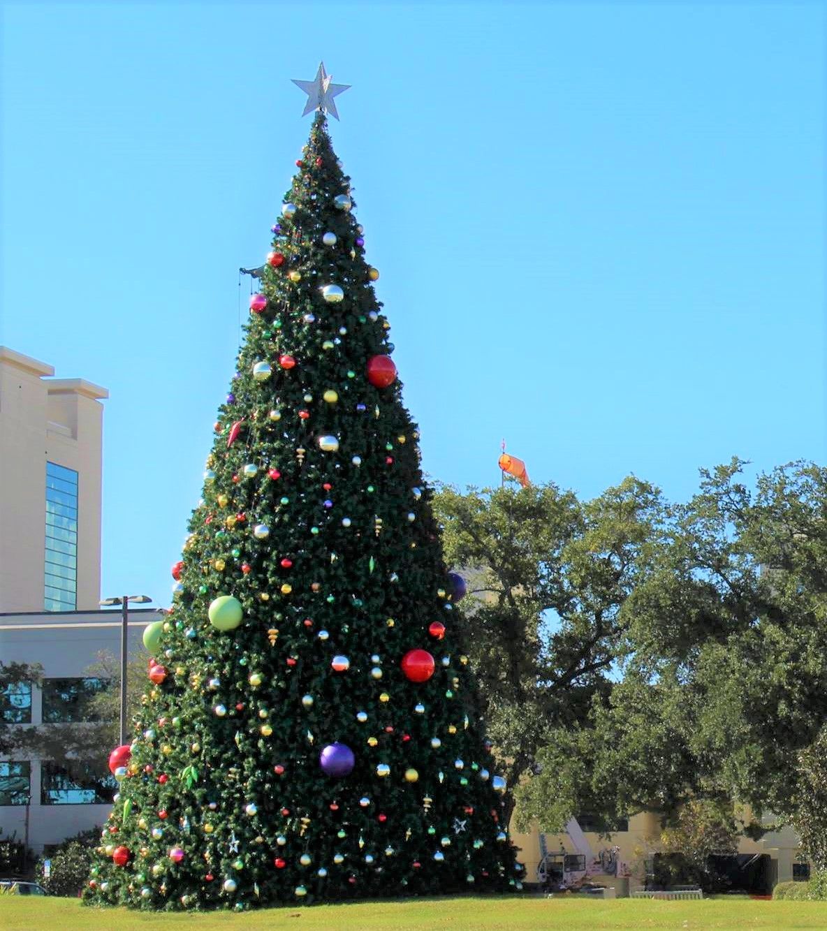 Annual Tree Lighting Celebration