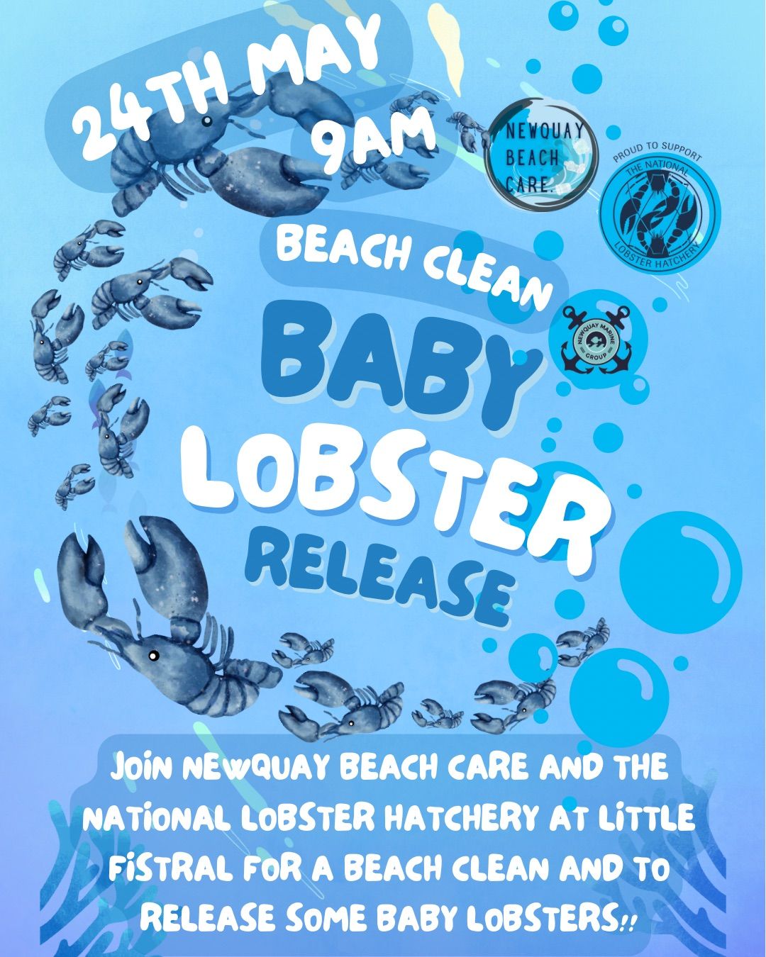 Newquay Beach Care & National Lobster Hatchery Beach Clean & Baby Lobster Release