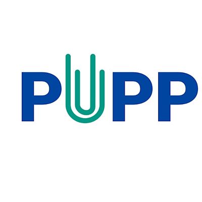 Partnership on University Plagiarism Prevention