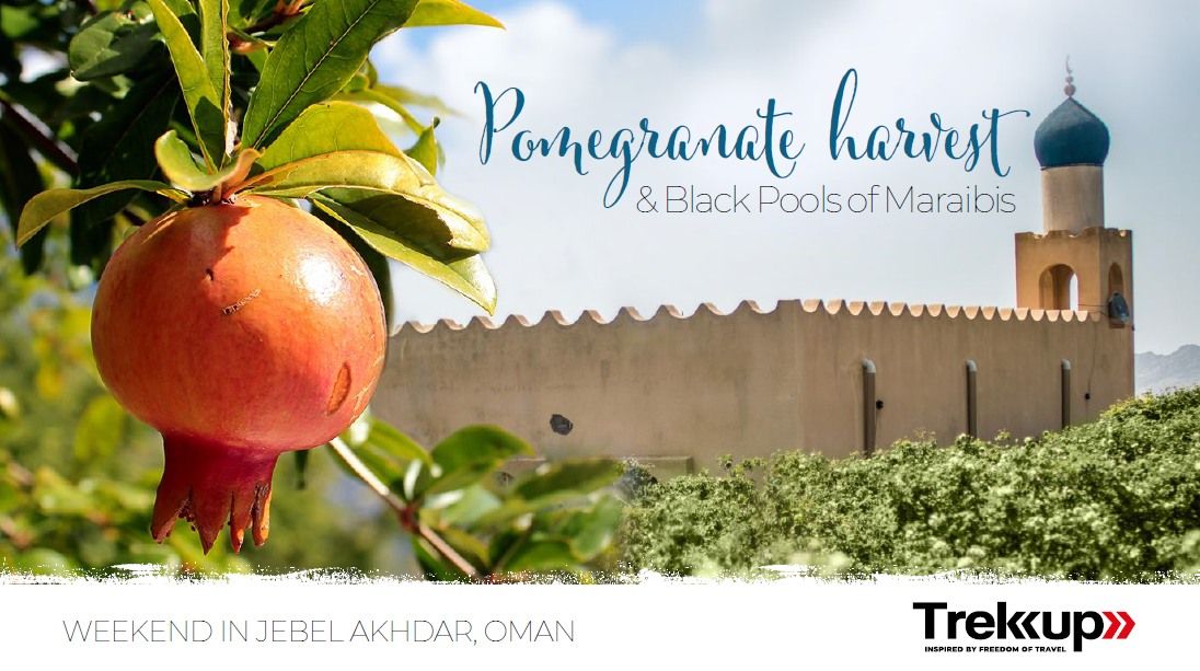 Pomegranates, Olives & Black Pools of Maraibis | Jebel Al Akhdar, Oman