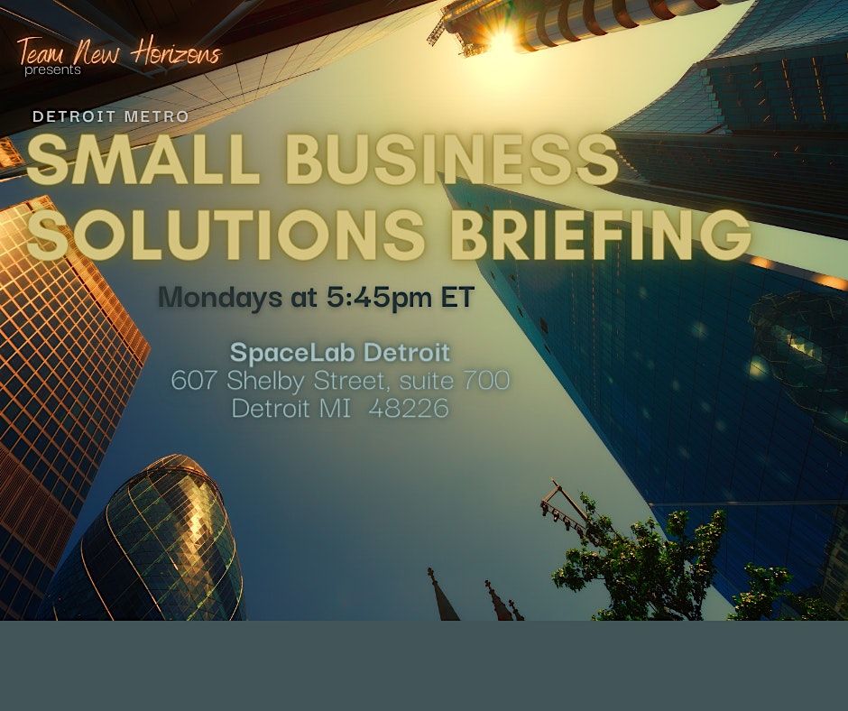 Detroit Metro Small Business Solutions Briefing