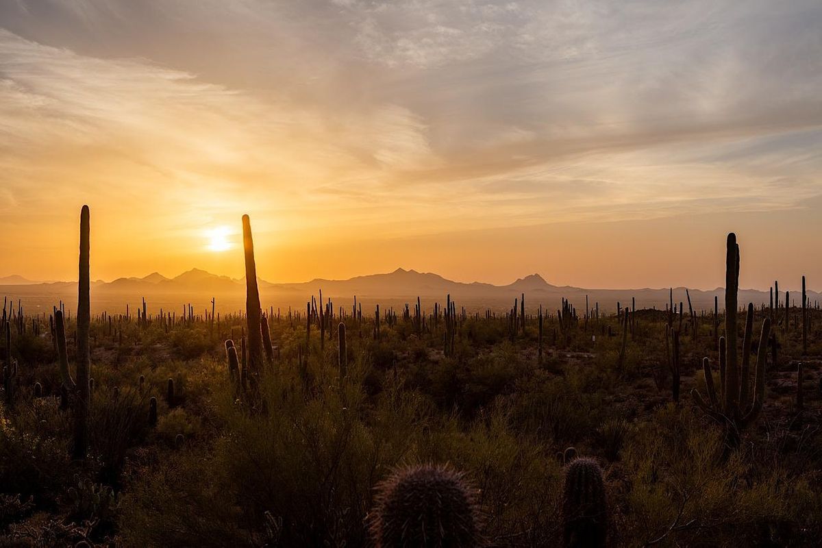 13th Annual Arizona Simulation Network Conference