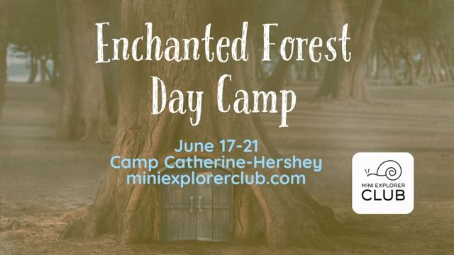 Enchanted Forest Day Camp