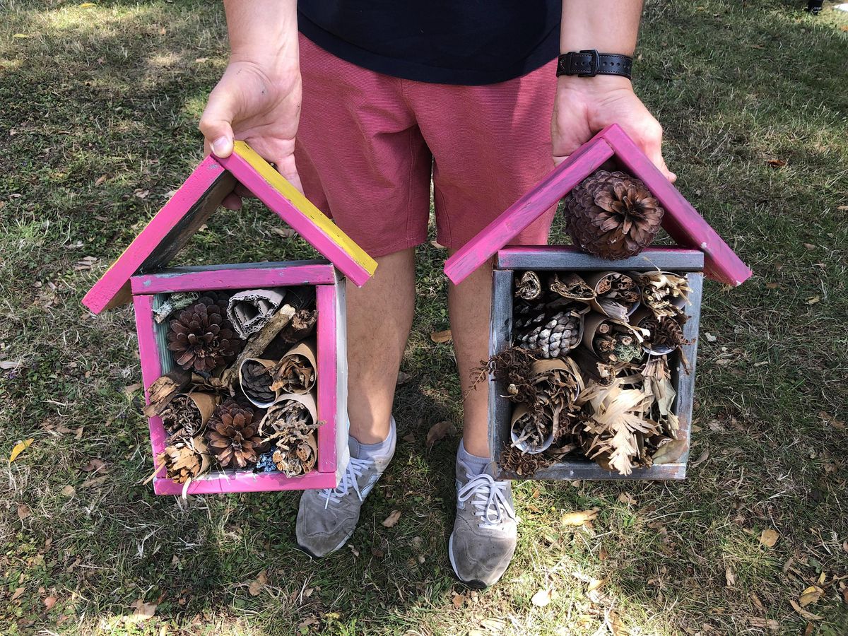 Workshop: DIY Kids Bug Hotel