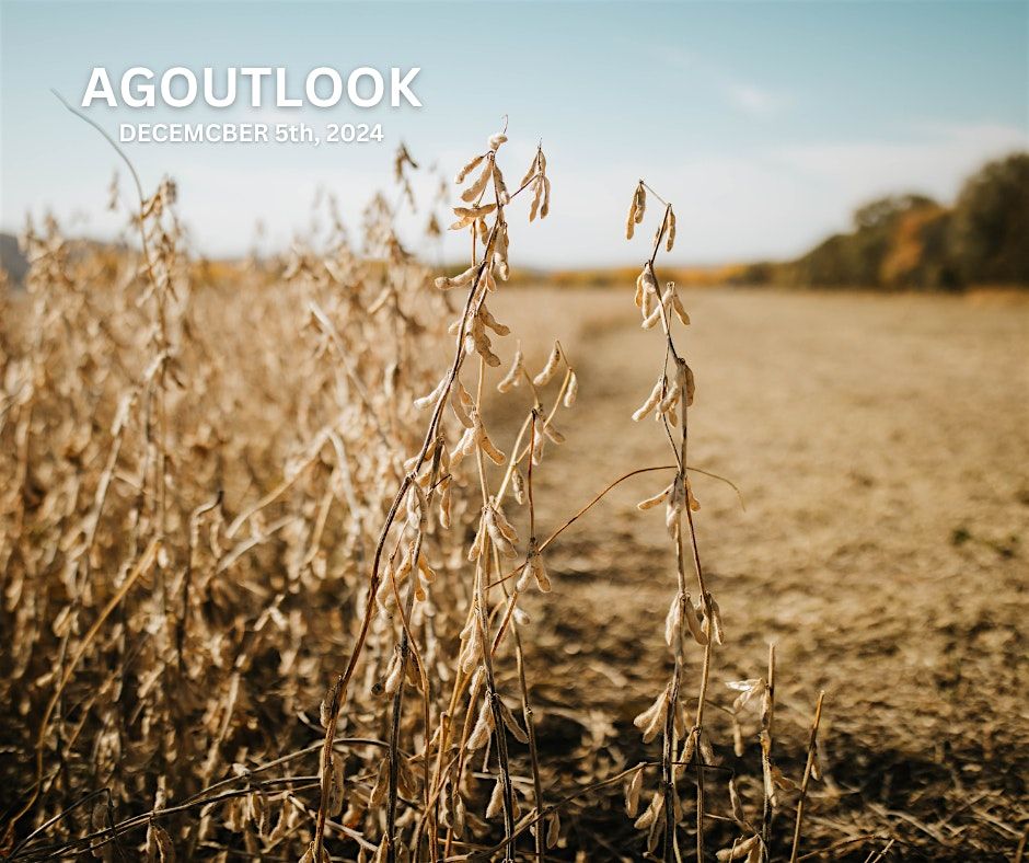 AgOutlook 2024