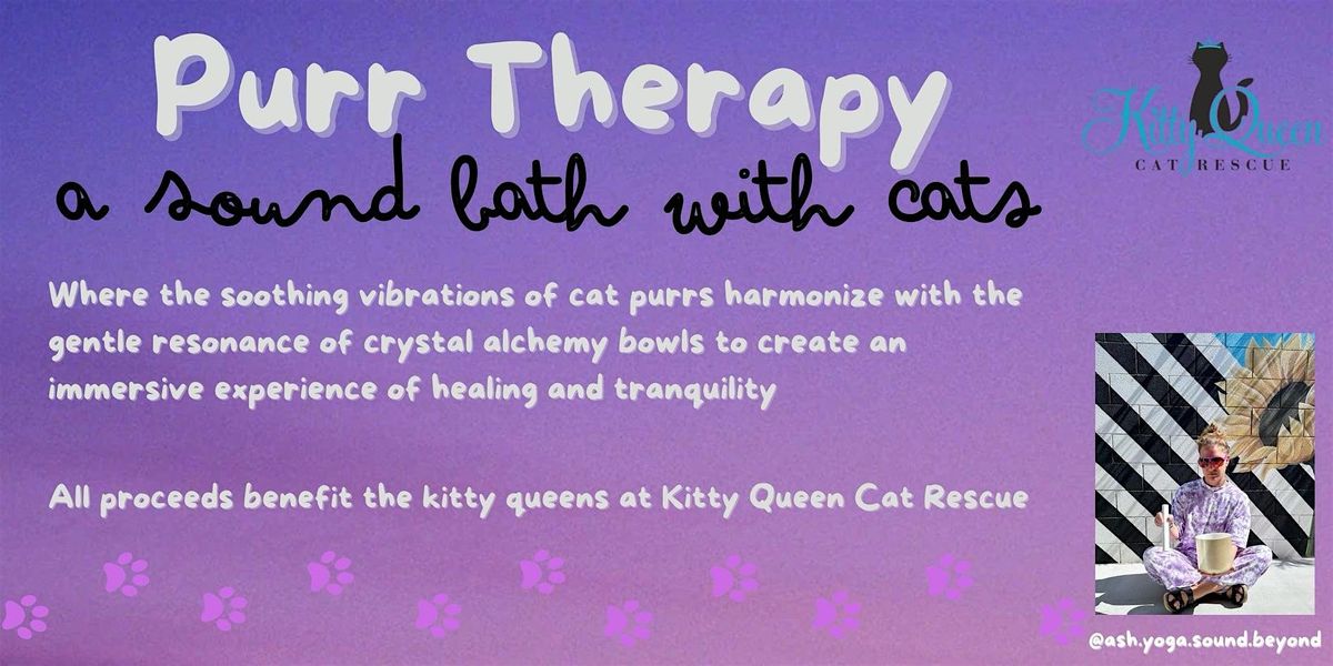 Purr Therapy: a sound bath with cats