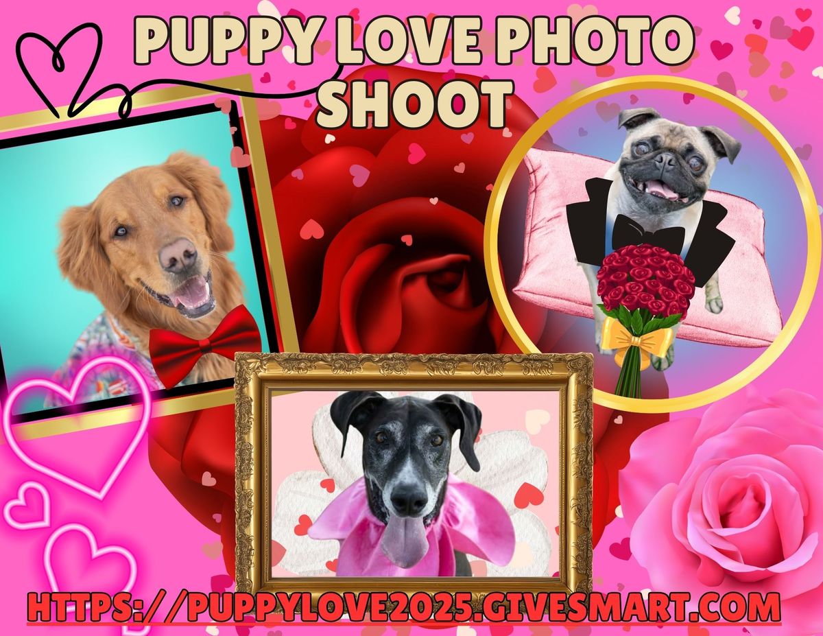 Puppy Love Photo Shoot