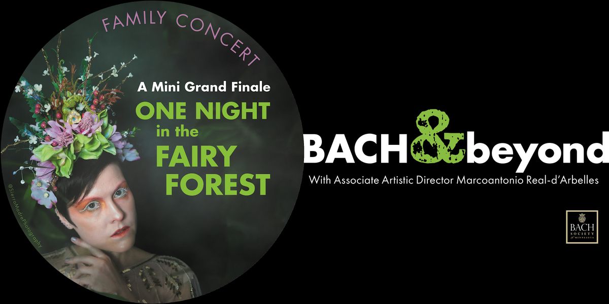 A Mini Grand Finale \u2013 One Night in the Fairy Forest