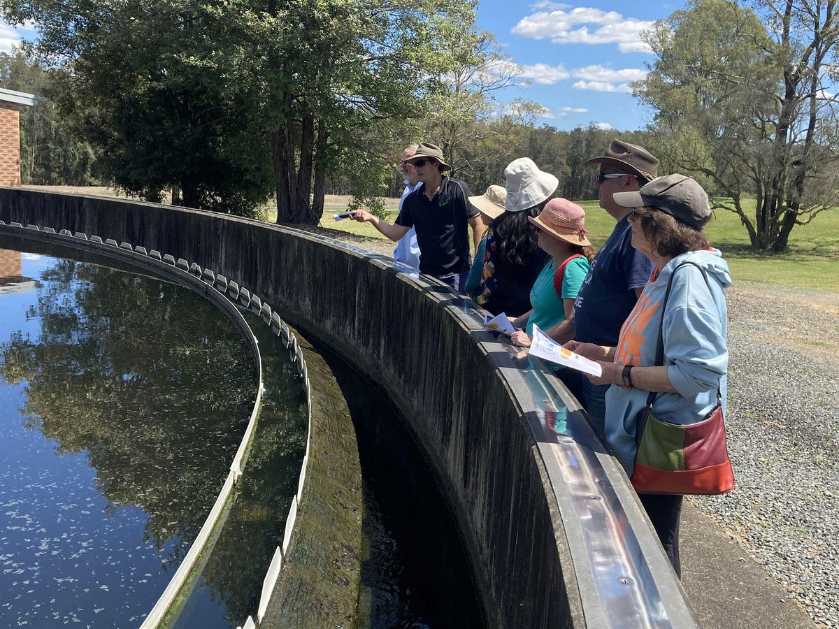 Forster Sewage Treatment Plant Open Day