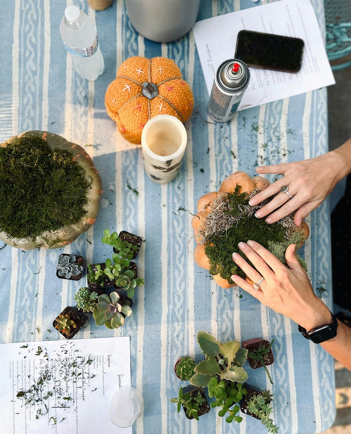 DIY Pumpkin Succulent Centerpiece