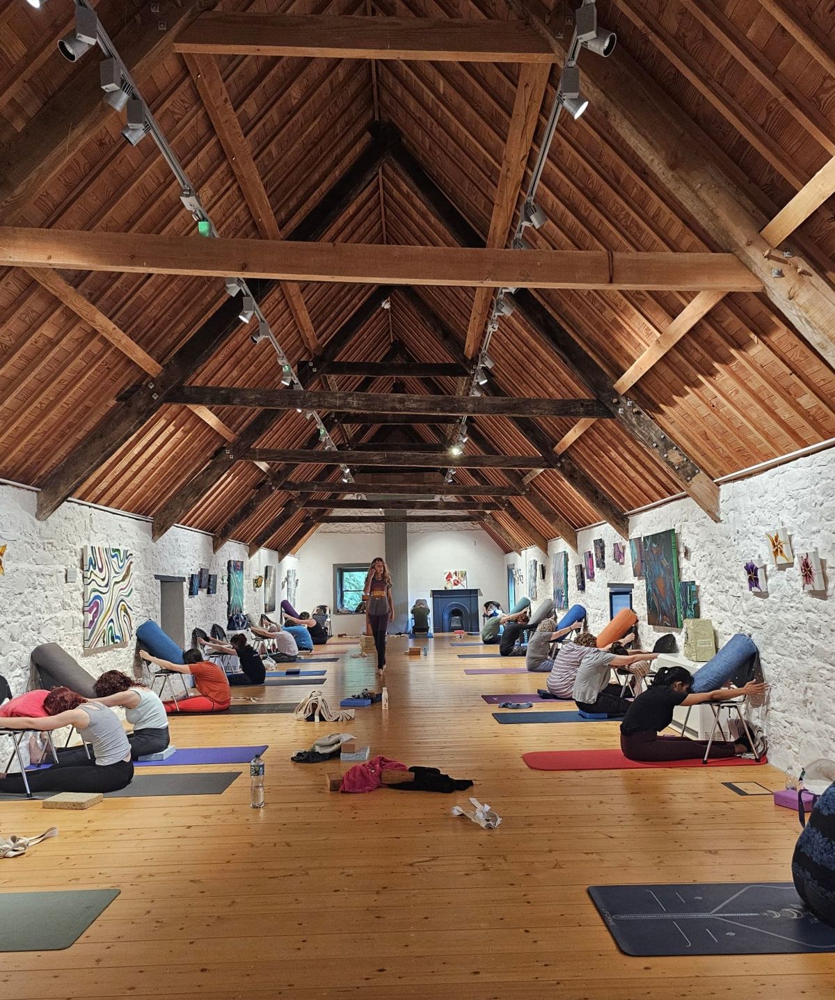 Portumna Castle Iyengar Yoga Workshop 