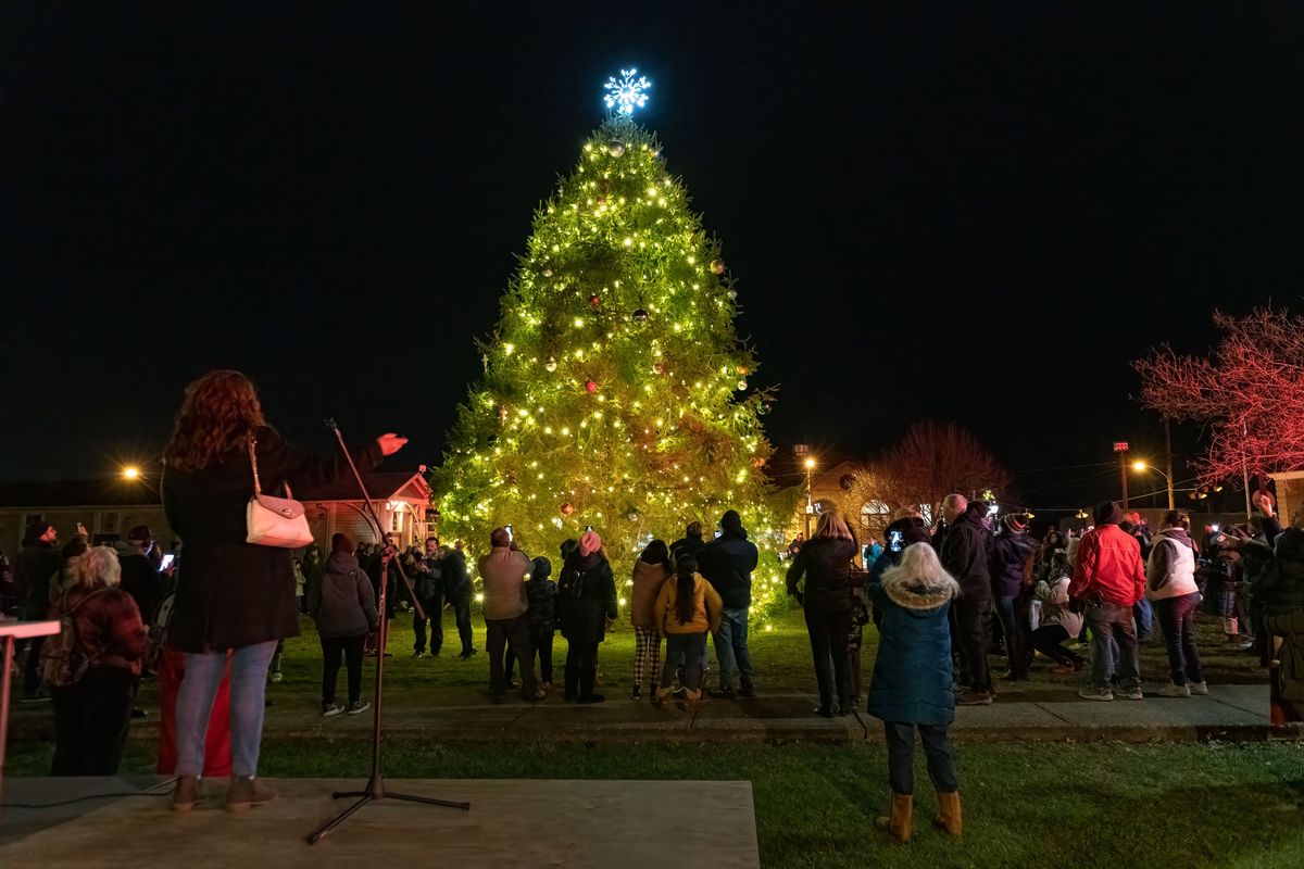 Christmas Tree Lighting 2024