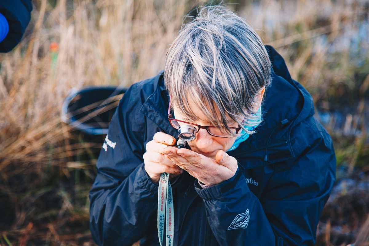 iNaturalist Bioblitz at Cary's Meadow