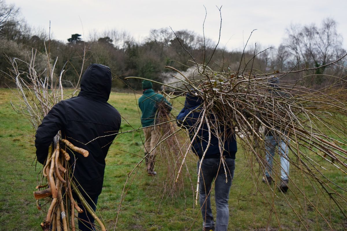 March Sunday volunteer session - Coppice work