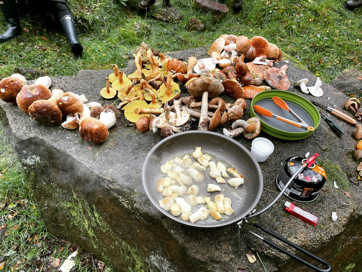 FORAGE & NIBBLE in Chorlton