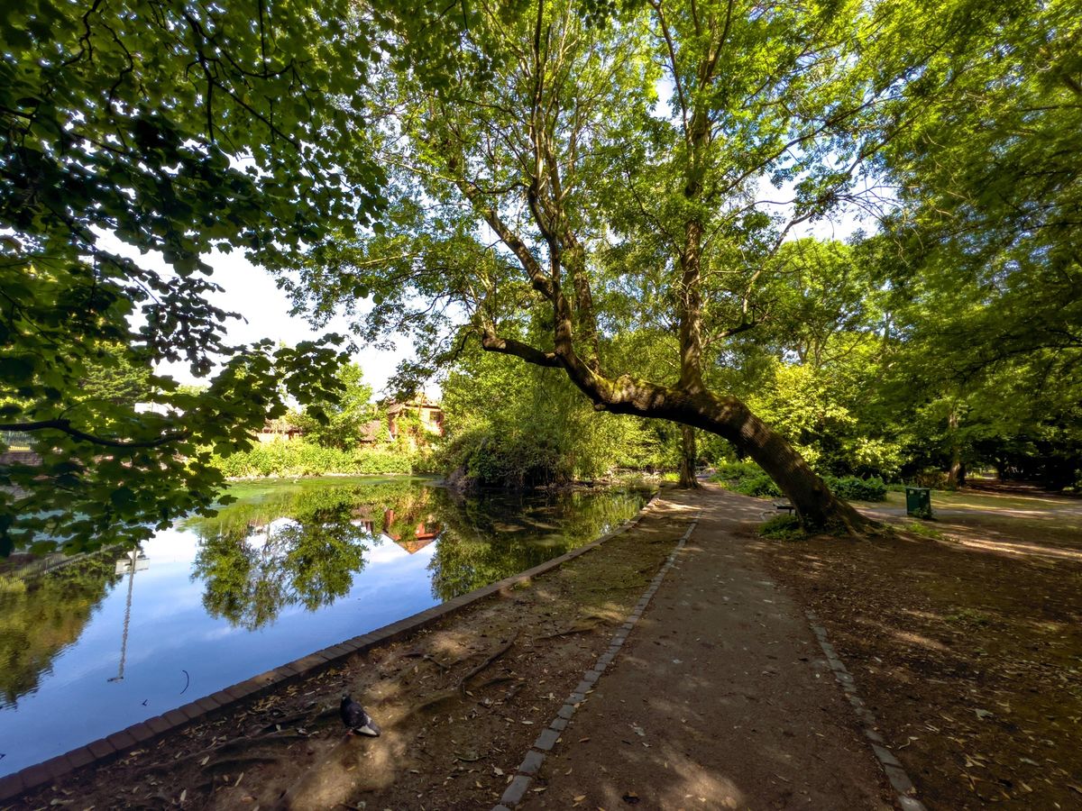 East London Woodlands and Wetlands Walk