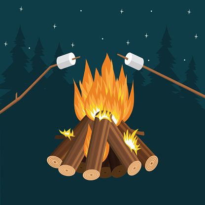 S'mores under the stars!