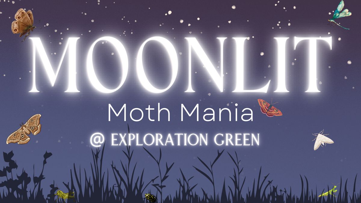 Moonlit Moth Mania