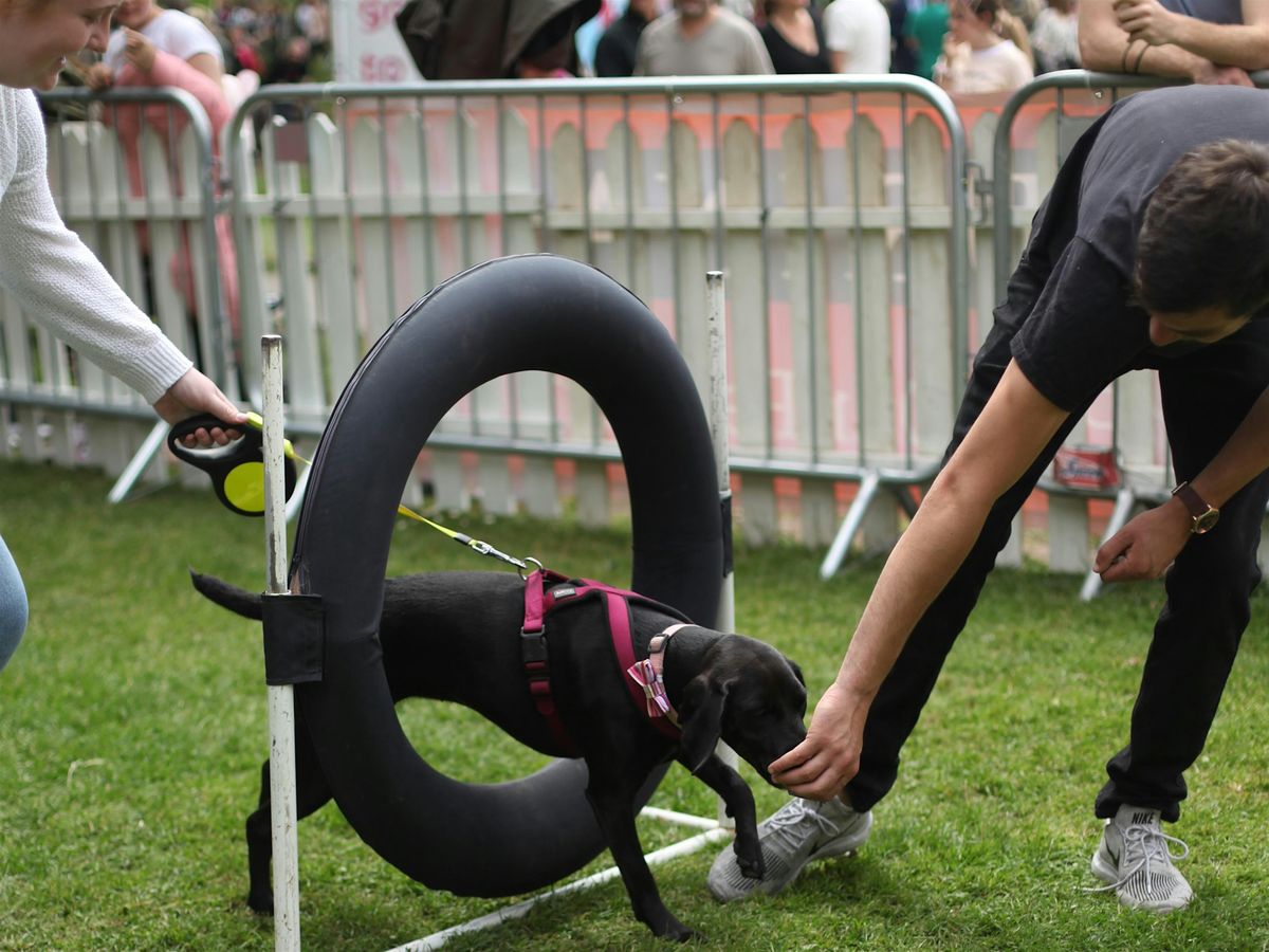 AGILITY TASTER @ DSPCA