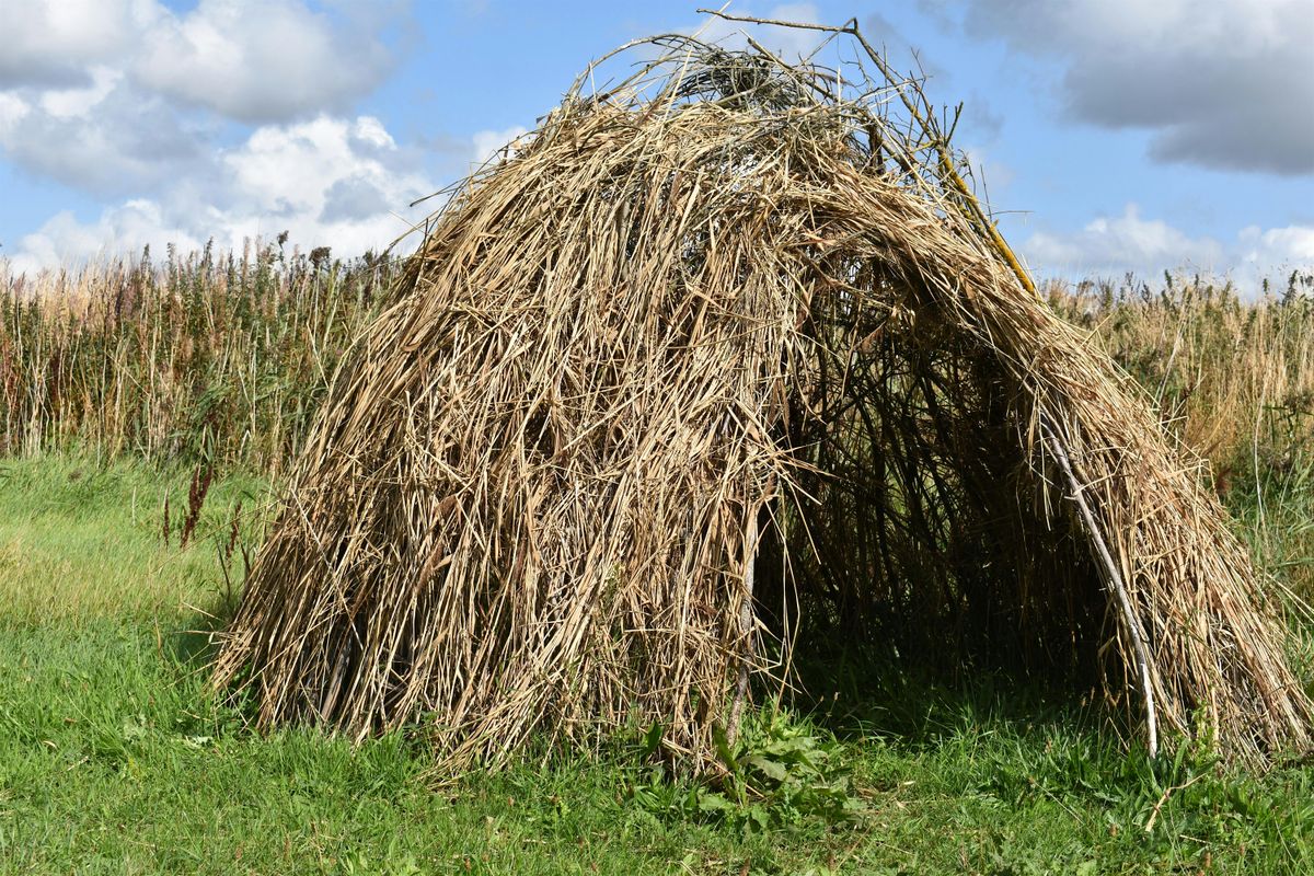 Mesolithic Housebuilding