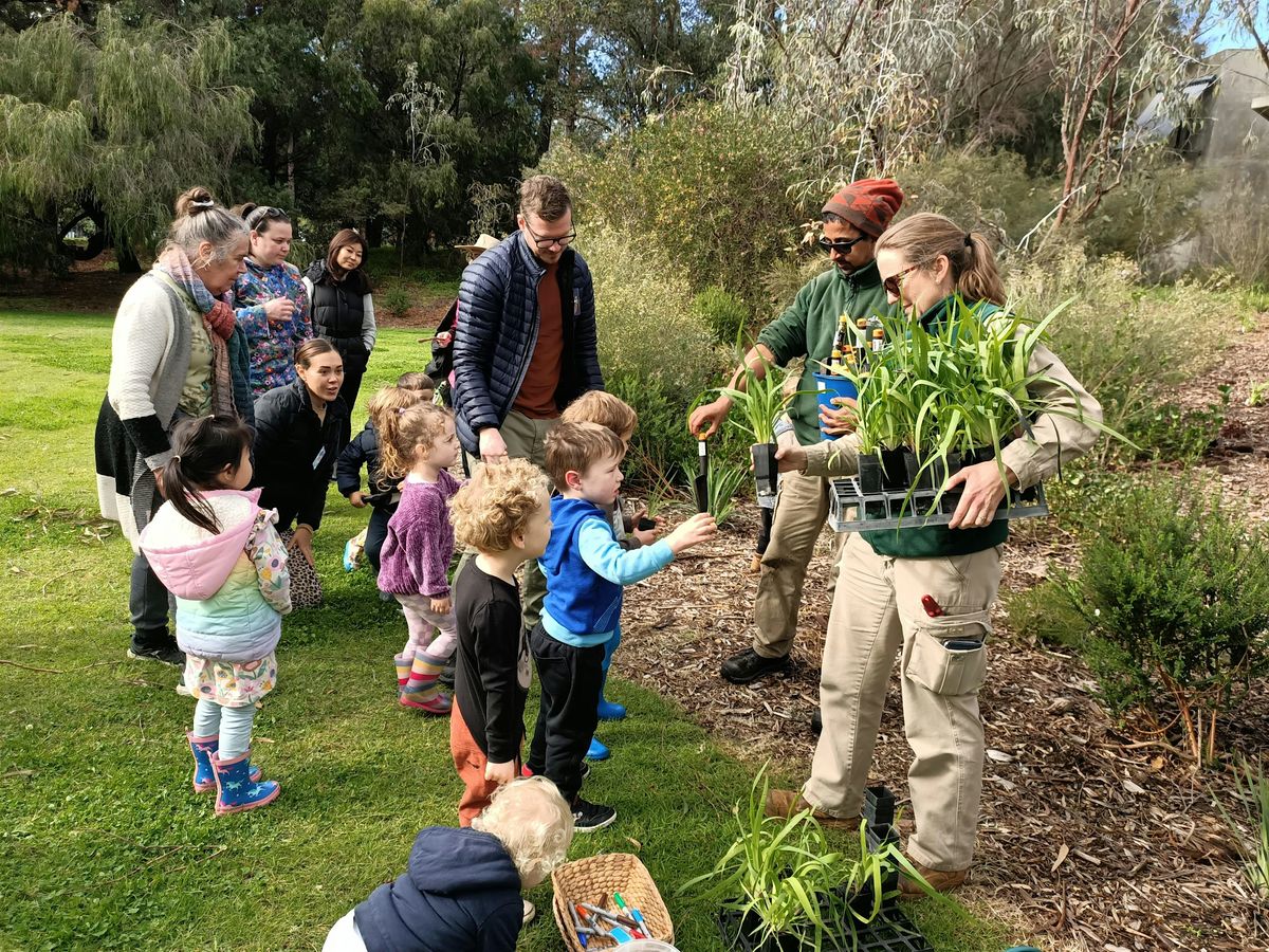 Budding Green Thumbs