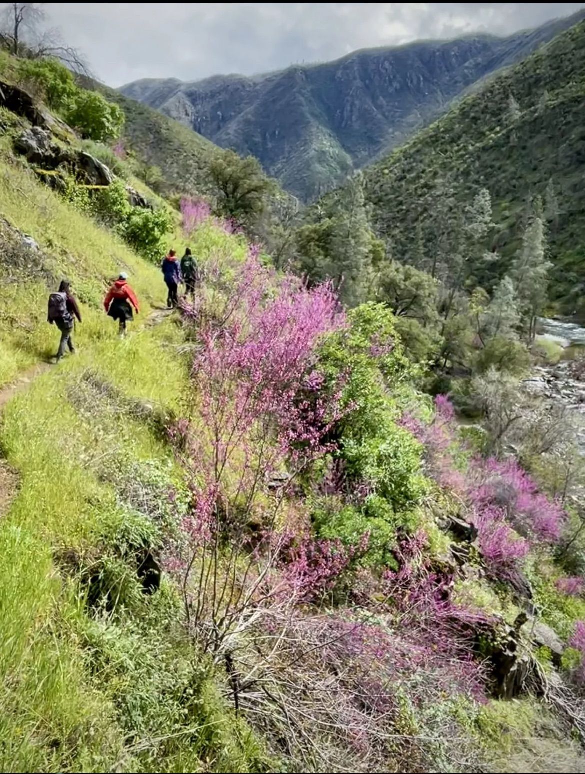 Spring Flowers Hike with Fukari Tribe near Yosemite!