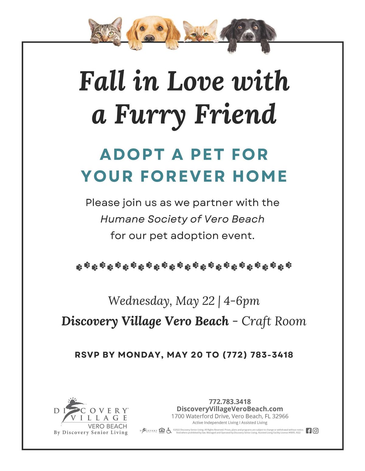 Fall In Love with a Furry Friend