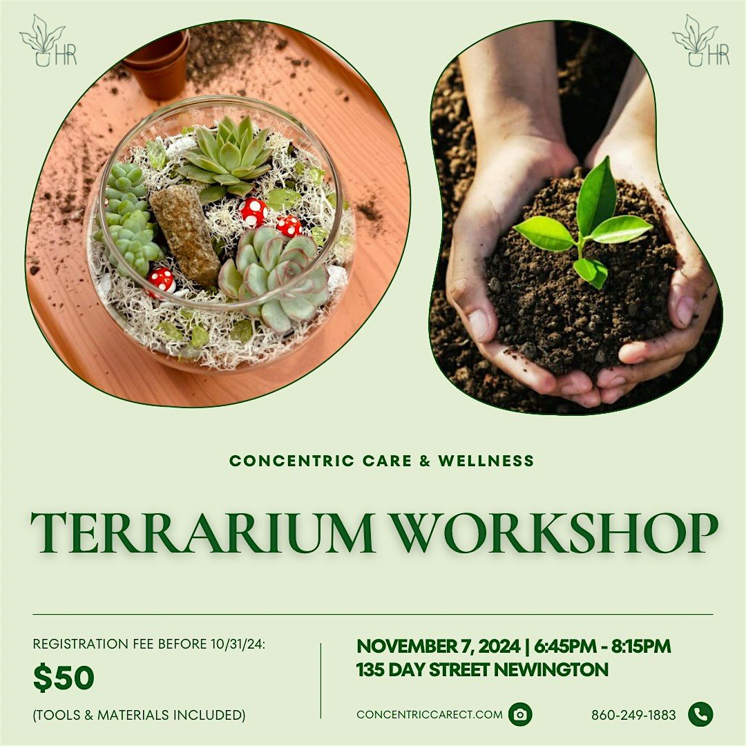 Craft Night:  DIY Terrarium