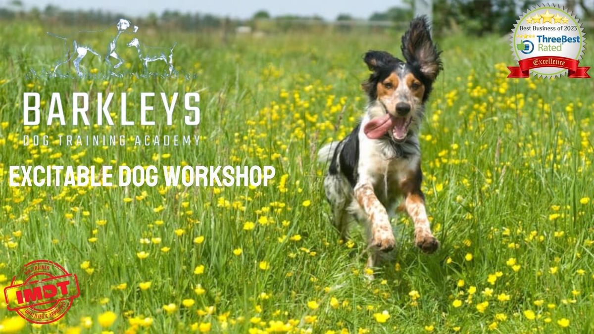 Excitable Dog Workshop