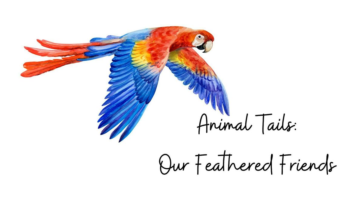 Animal Tails: Our Feathered Friends