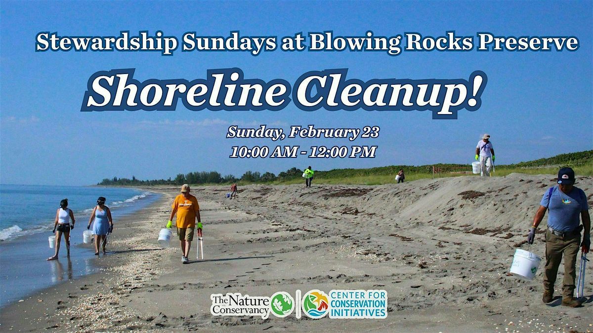 Stewardship Sunday: Shoreline Cleanup!