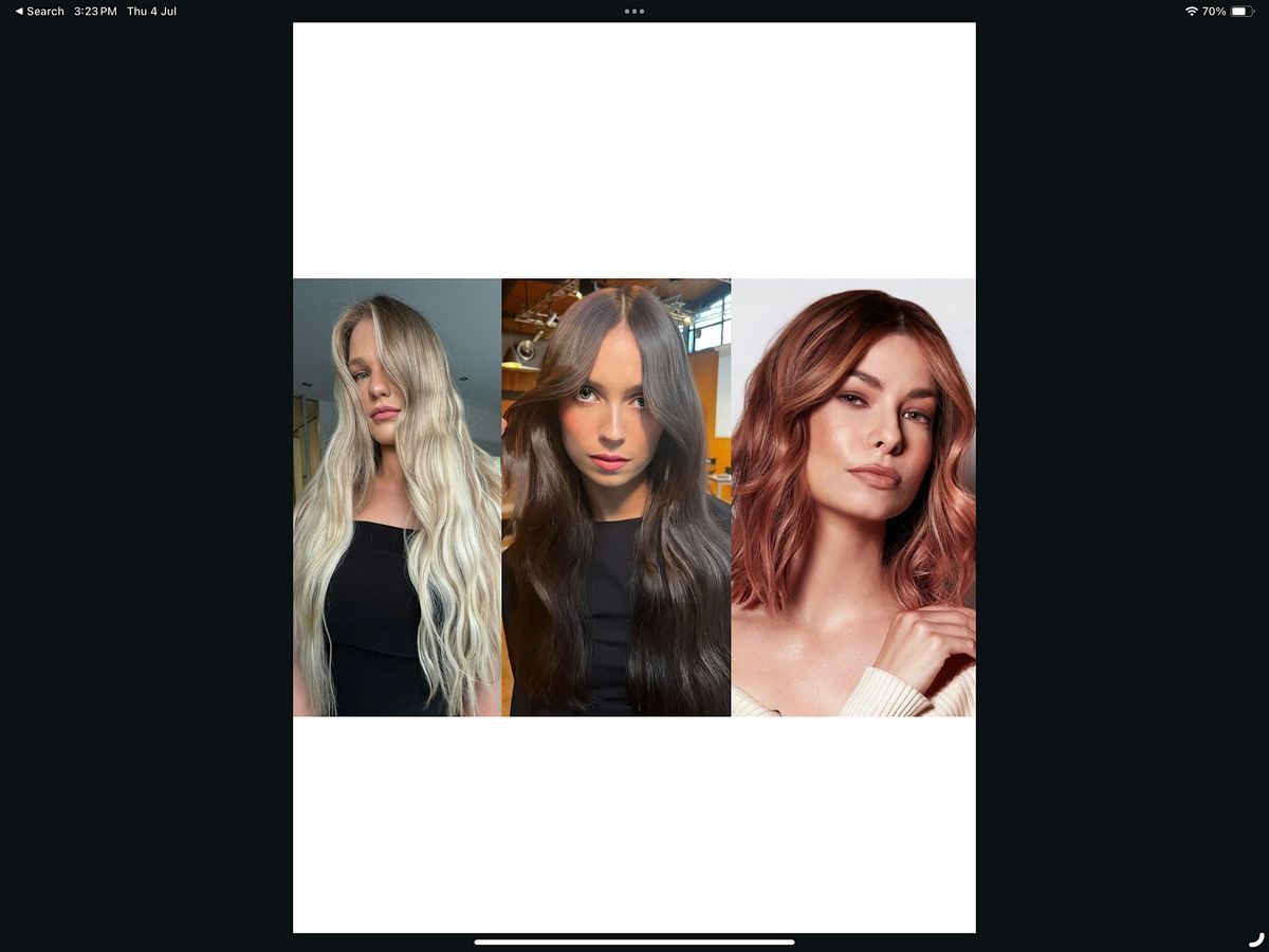 Blonde Brunette & Copper Master Class - AUCKLAND - APPRENTICE ONLY