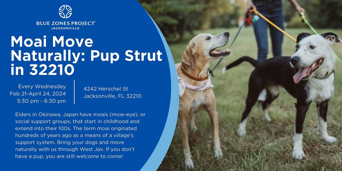 Moai Move Naturally: Pup Strut in West Jacksonville (32210)