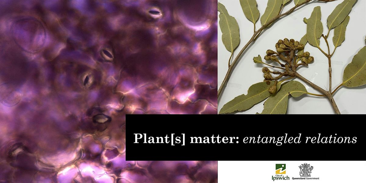 Plants Matter: entangled relations - a conversation with Donna Davis