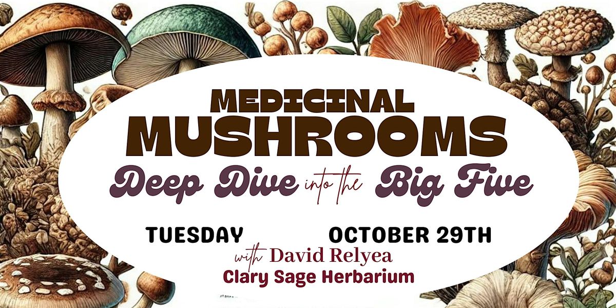 Medicinal Mushrooms, Deep Dive into the Big Five