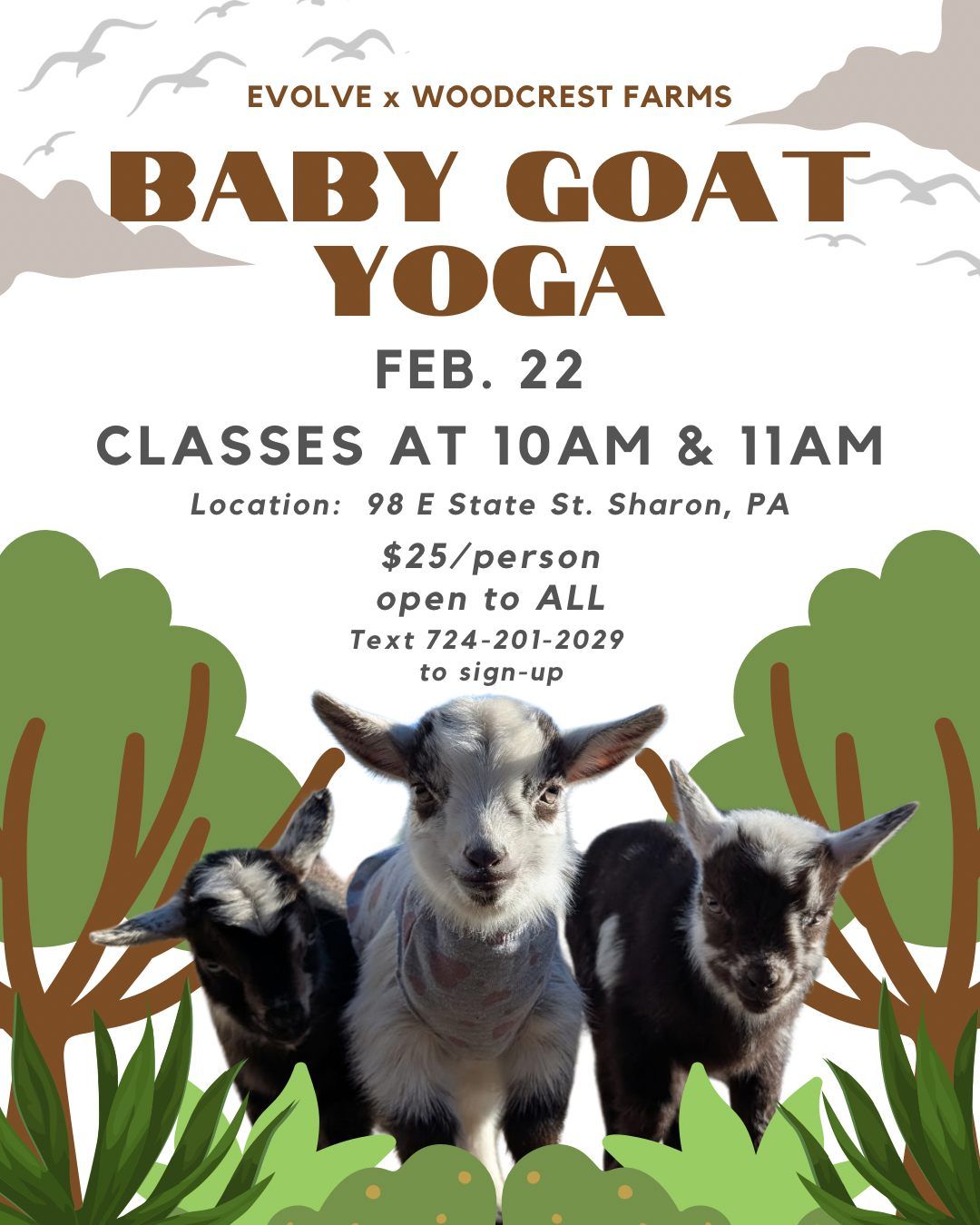 BABY GOAT YOGA