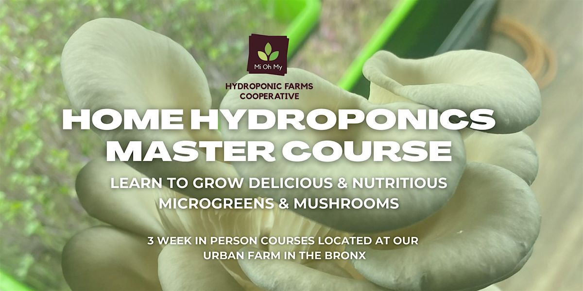 Home Hydroponics Master Course Cohort #5, Sunday (In Person)