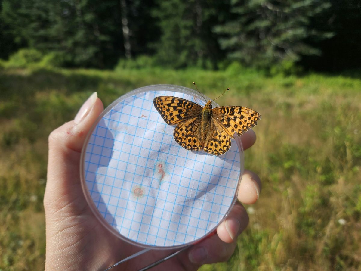 Oregon Silverspot Butterfly Zoo Workshop